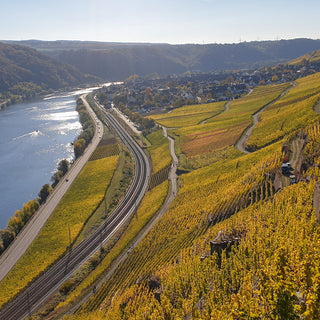 Wunderschöner Ausblick auf unsere Heimat Winningen an der Mosel im Herbsz