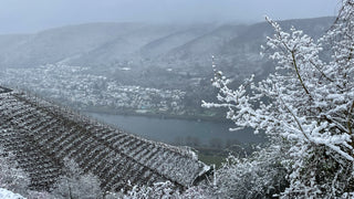 Winterlicher Blick auf den Weinwanderweg in Winningen, umgeben von schneebedeckten Weinbergen und malerischer Landschaft.